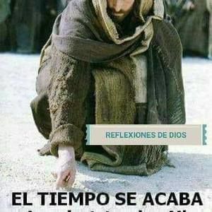 Meet your Posher, Dora